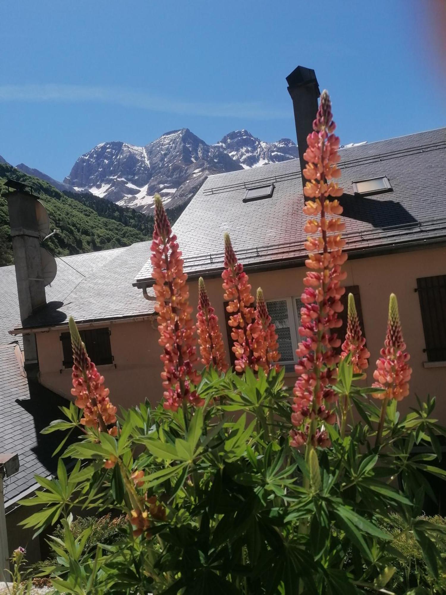 Chambres D'Hotes L'Astazou Gavarnie Ngoại thất bức ảnh